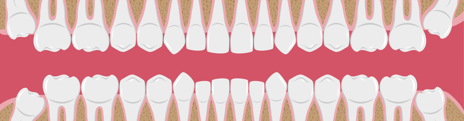 animated image of teeth