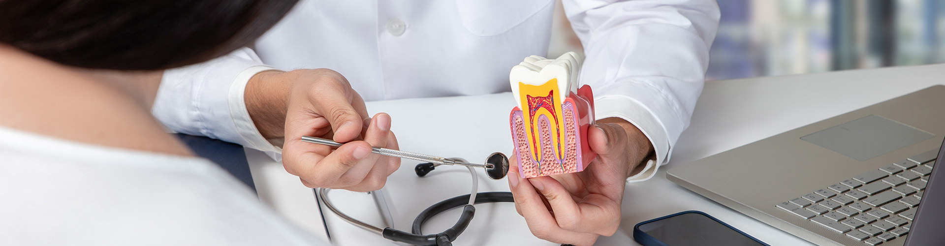 dentist showing patient a bisected tooth model