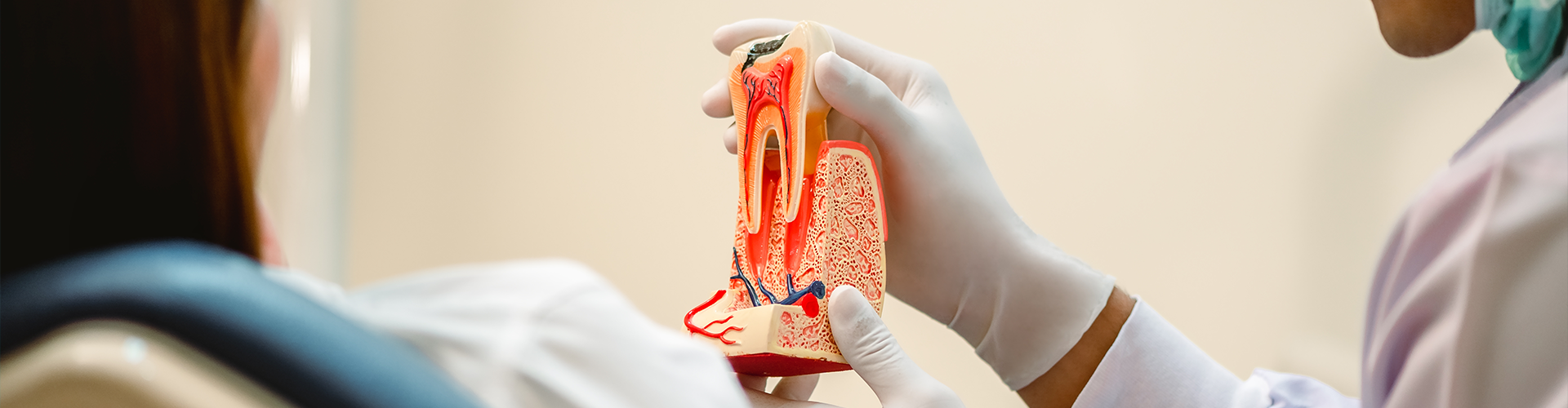 gloved hands holding a tooth model with a cavity in front of patient