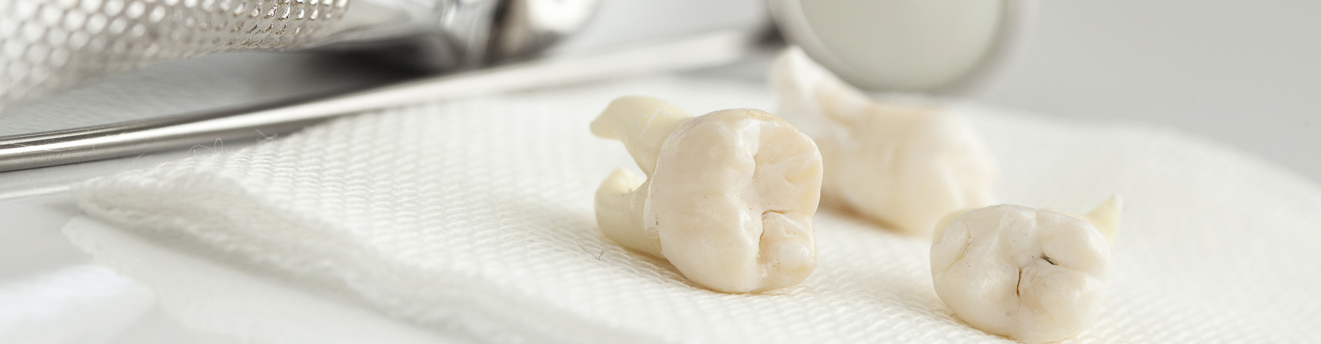 three teeth on a table with dental tools