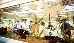Long Beach Family Dentist