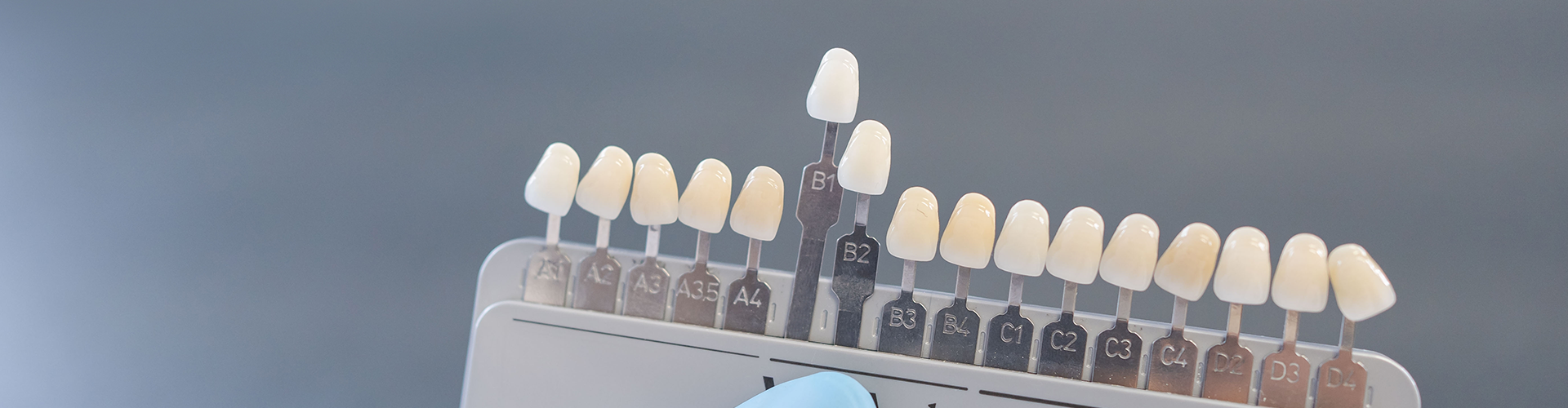 gloved hands holding a tooth shade-matching tool